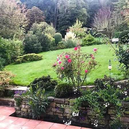 Ein Zuhause Mit Schonem Garten Apartment Bonn Ngoại thất bức ảnh